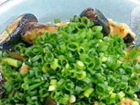 ナス嫌いを克服できる！かも？ナスの焼き煮♪